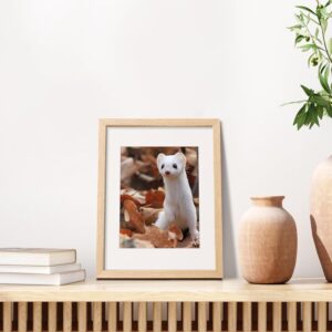 Alternative view of Natural Solid Wood 11x14 Inch Picture Frame with Mat